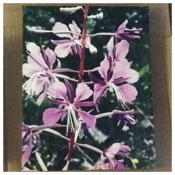 🎀SOLD🎀Unframed “Purple Pixie” Canvas Print - Picture 3 of 5